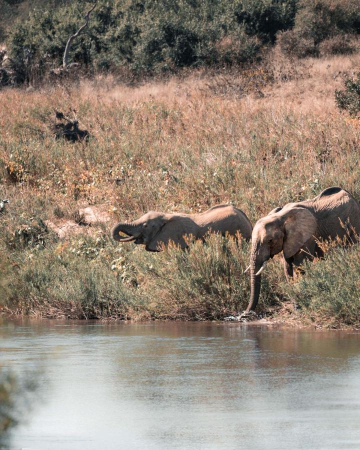 Maninghi Lodge Khu bảo tồn Khu bảo tồn Balule Game Reserve Ngoại thất bức ảnh